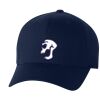 Adult Wooly 6-Panel Cap Miniaturansicht