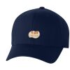 Adult Wooly 6-Panel Cap Miniaturansicht