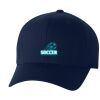 Adult Wooly 6-Panel Cap Miniaturansicht