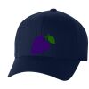 Adult Wooly 6-Panel Cap Miniaturansicht